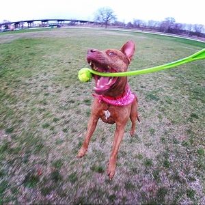 Meet your Posher, Jose